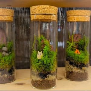 Lire la suite à propos de l’article Toute l&rsquo;équipe du @lepontdesarts35 …