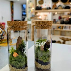 Lire la suite à propos de l’article Cette semaine, à la boutique, vous …