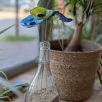 Cette semaine à la boutique, vous p…